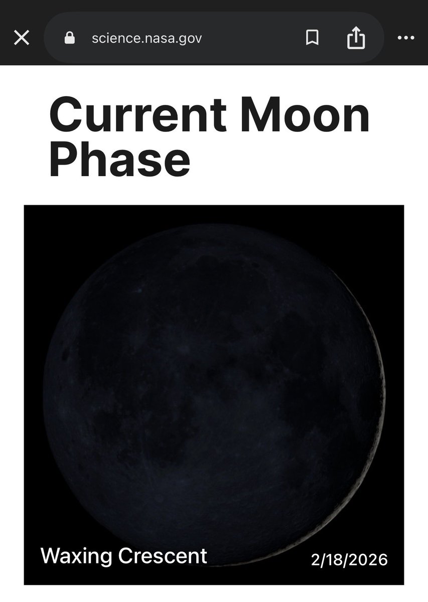 Memo 🇹🇷 tweet media