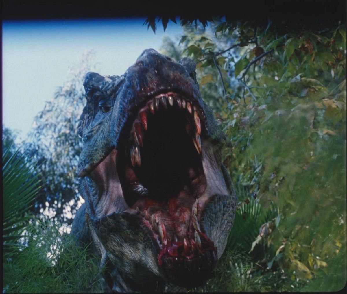Ravigovindabhat's tweet photo. Rivals
#TeamTrex #TeamSpinosaurus https://t.co/Awm3QtVvvW