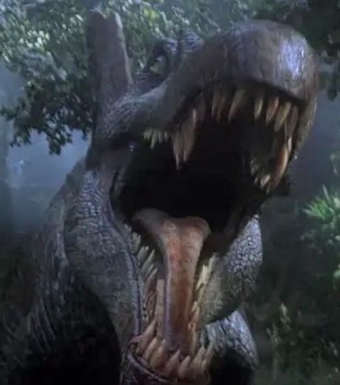 Ravigovindabhat's tweet photo. Rivals
#TeamTrex #TeamSpinosaurus https://t.co/Awm3QtVvvW