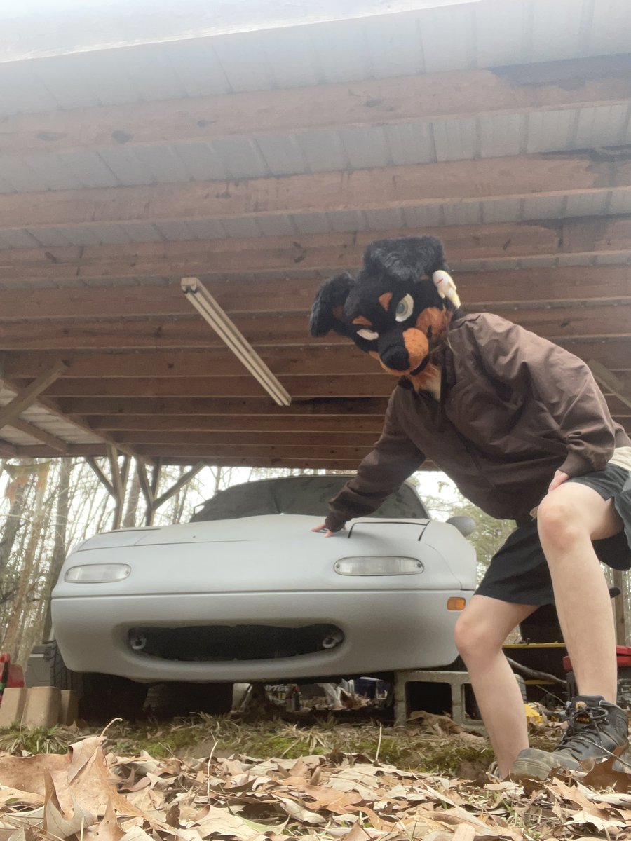 Ace Doberman🔜TFF tweet media