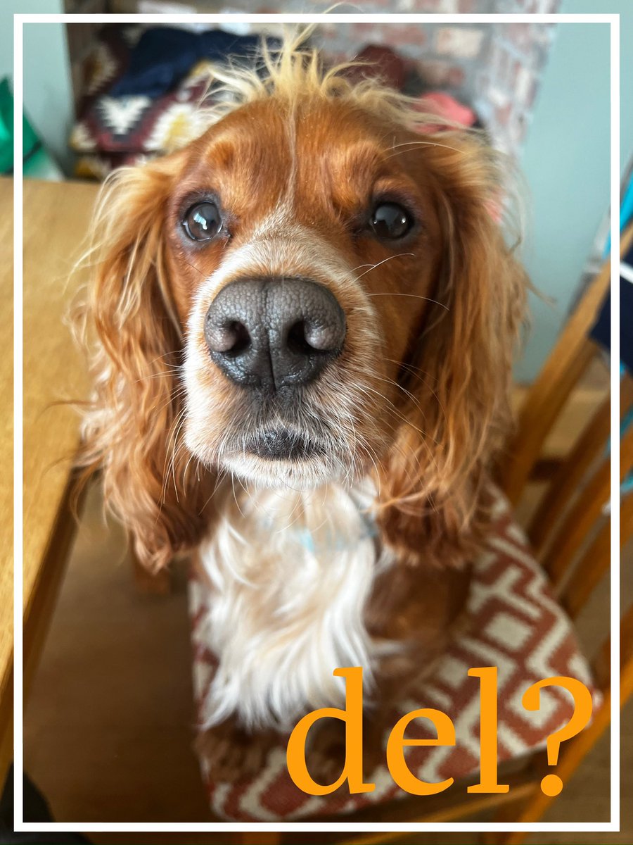 GPC Welsh dictionary tweet media