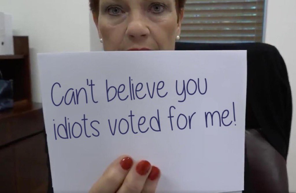 Here’s a chronological rundown of 18 key issues Pauline Hanson has actively advocated, based on her speeches, policies, and actions - she isn’t about Australia - she’s about trying to force everyone to live in her tiny world, that’s been shaped by her tiny mind…

1. **1995: