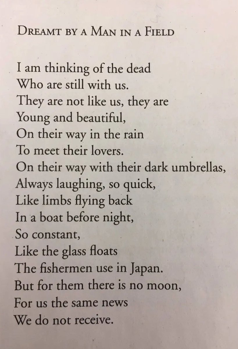 Alina Stefanescu tweet media