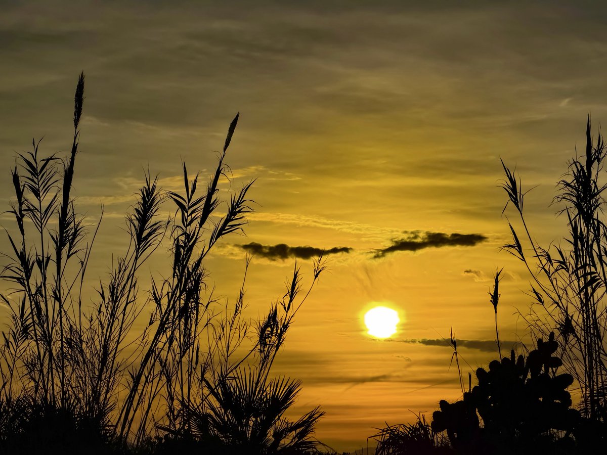 Bonne soirée à vous 🫶🏻☺️
#Antibes Juan-les-Pins 💛