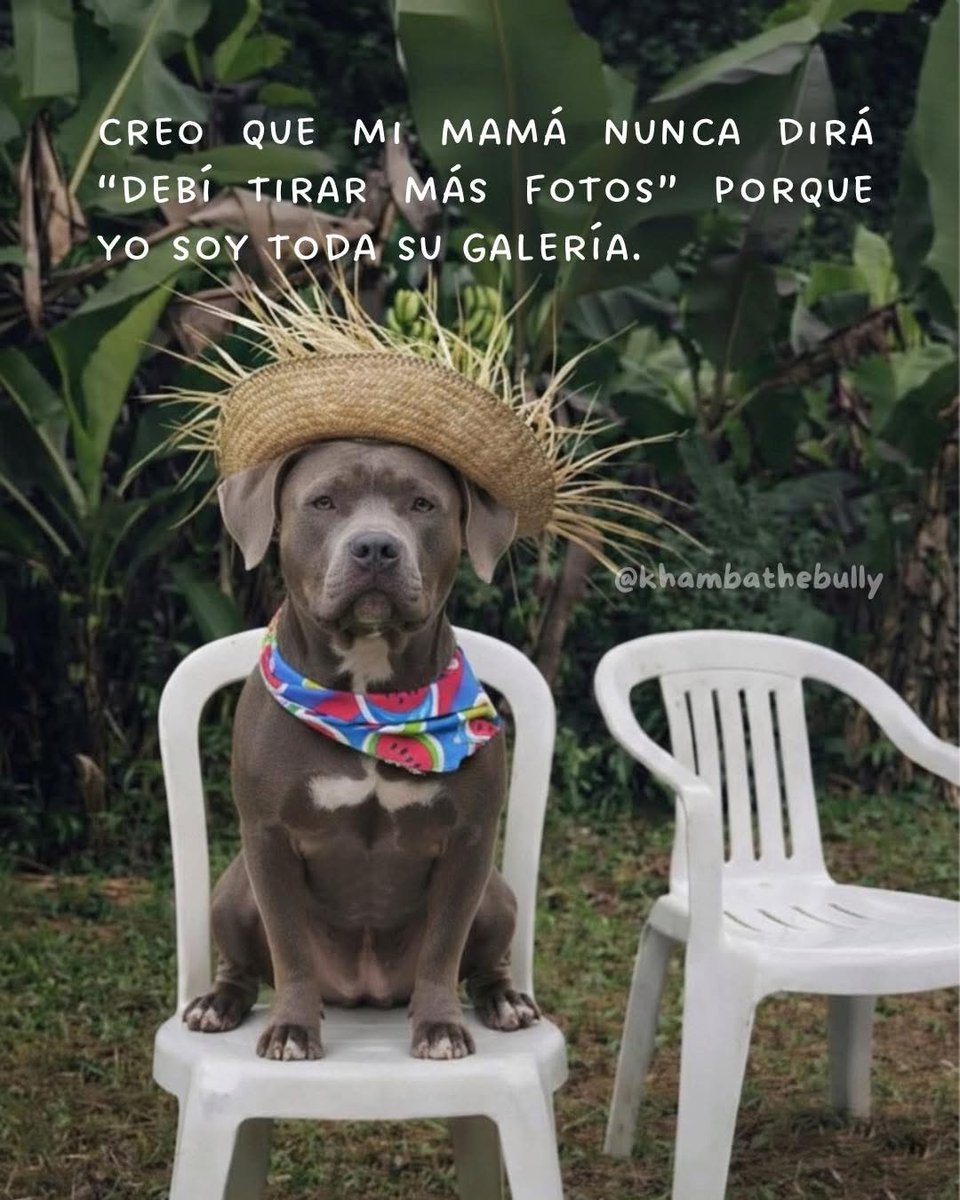 Fav ❤️si también eres esa mamá/papá