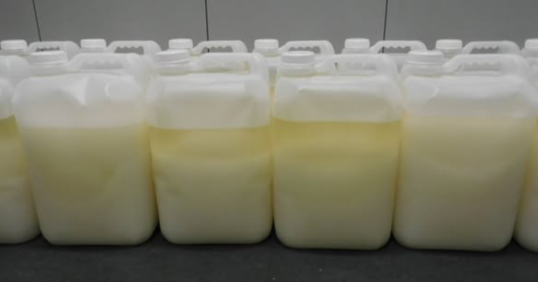 New Zealand Customs Service tweet media