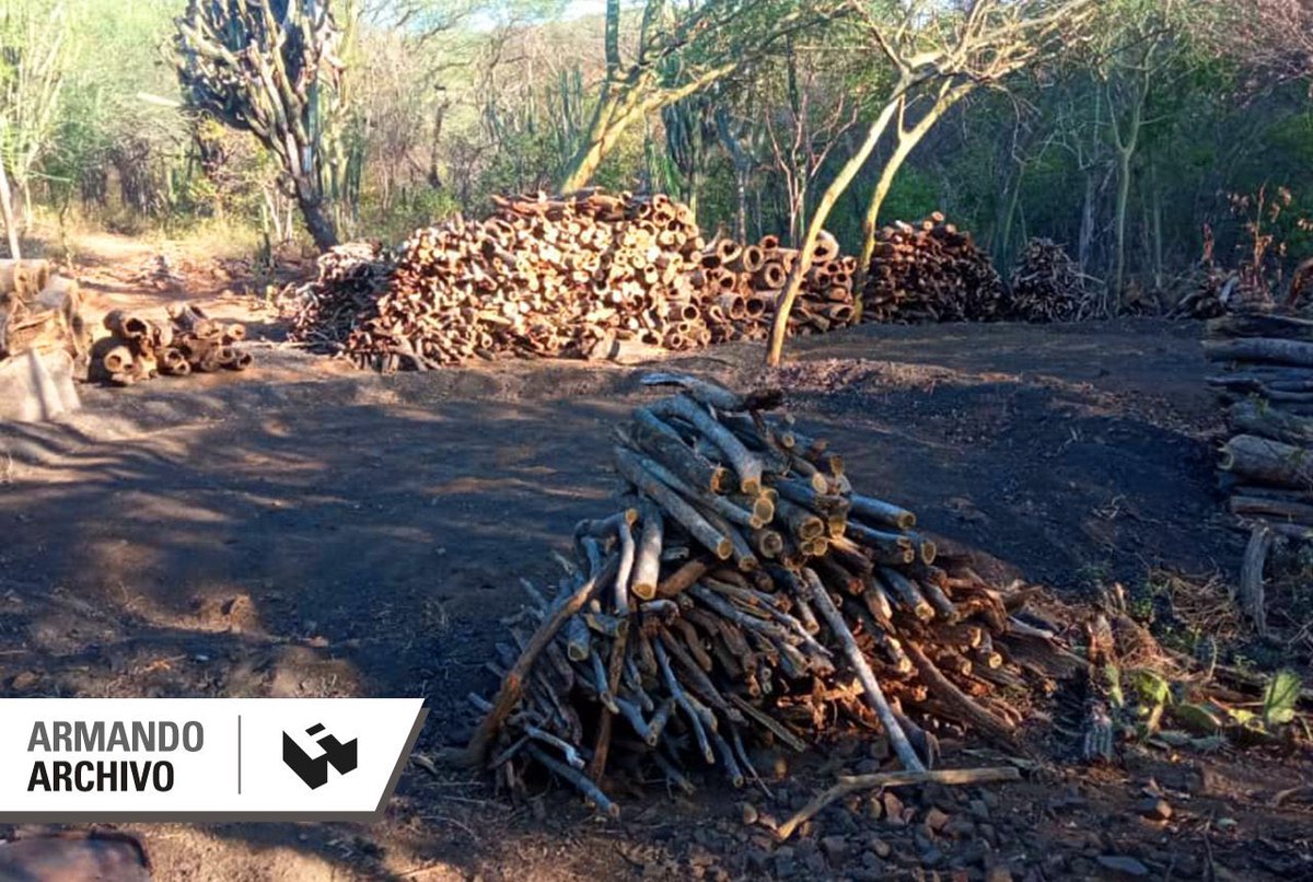 El Parque Nacional Cerro Saroche, en Lara, es desde 1989, un área bajo régimen de administración especial (ABRAE). Su estatus de área protegida no lo ha salvado de la devastación impune de una empresa mixta
🔗bit.ly/4aqR4MP #ArmandoHistorias2025