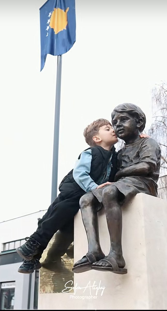 mowgli 🌴 tweet media