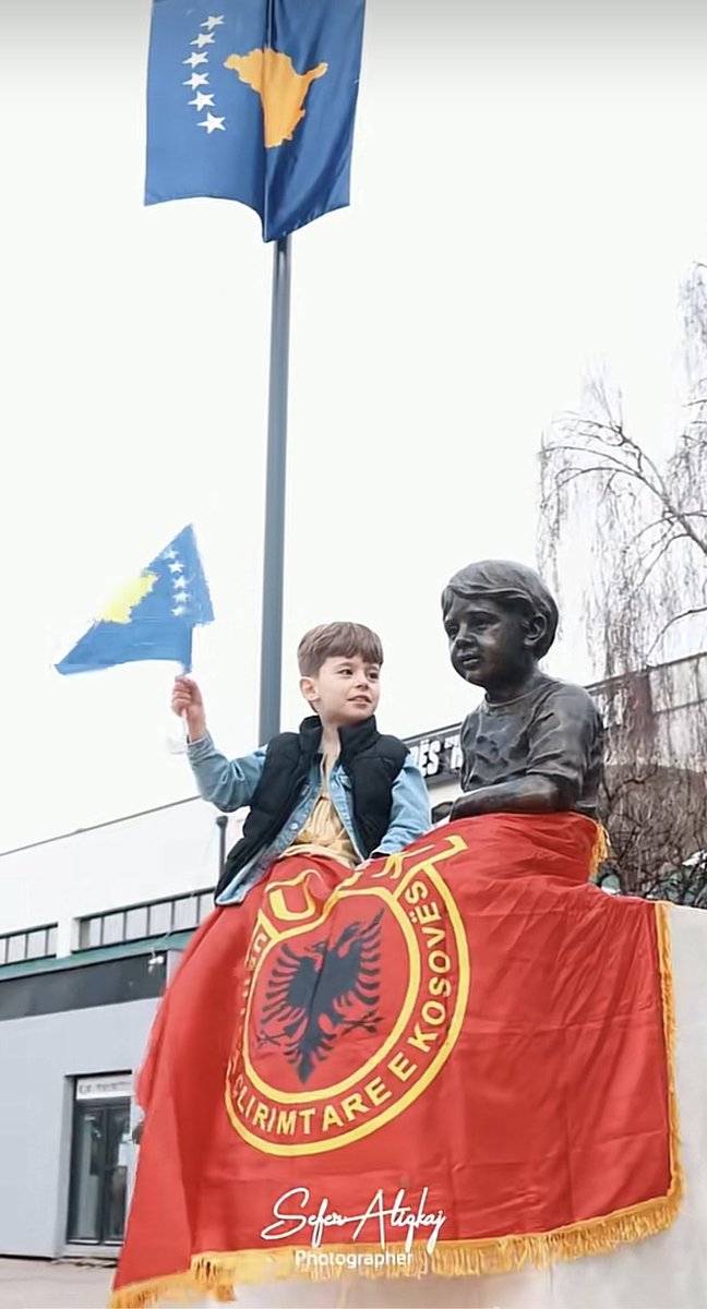 mowgli 🌴 tweet media