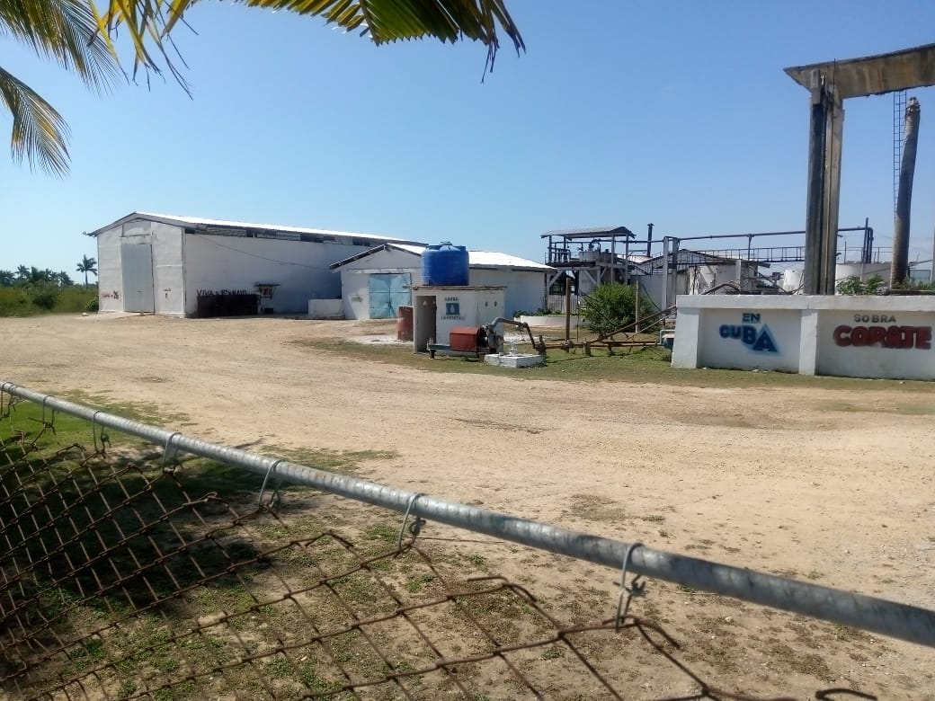 En la mañana de hoy dedicamos junto a las autoridades de #Artemisa a evaluar los trabajos que se realizan para consolidar la producción porcina y de los granos que tributan a este importante rubro.