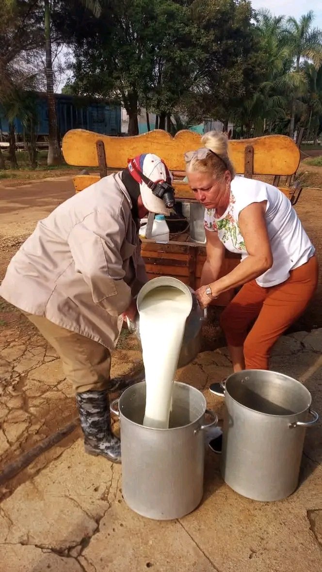 La utilizacion de la traccion animal en este caso para el tiro de leche ha sido una alternativa fundamental para continuar con las actividades ante la escases de combustibles #1roDeEneroDeVictorias #CubaVencerá #CiegodeAvila <a href="/DiazCanelB/">Miguel Díaz-Canel Bermúdez</a> <a href="/Agramontinof/">El Agramontino</a> <a href="/AlfreMene37409/">Alfre Menendez</a>