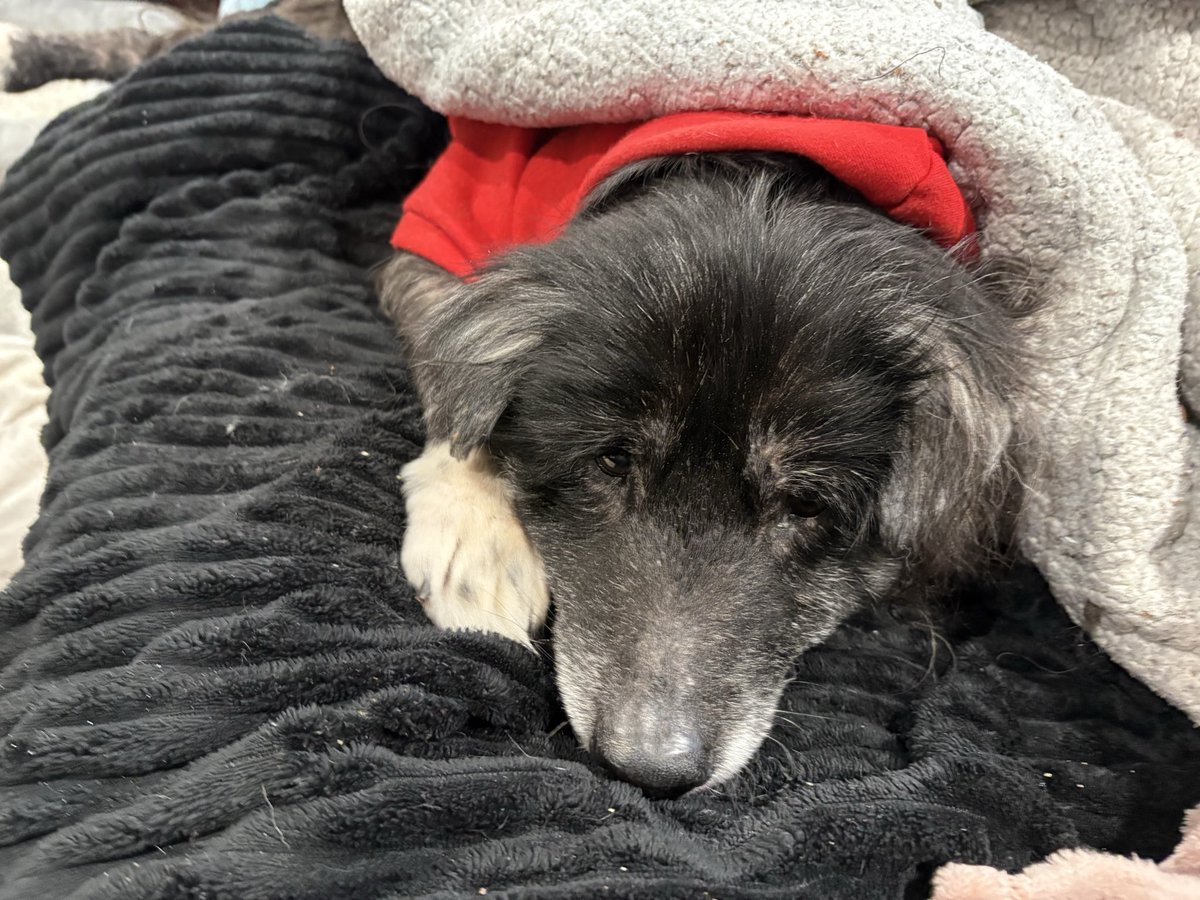 mumbits's tweet photo. Kiah. 17 and giving her the best every day. https://t.co/2F8NDdsAAP
