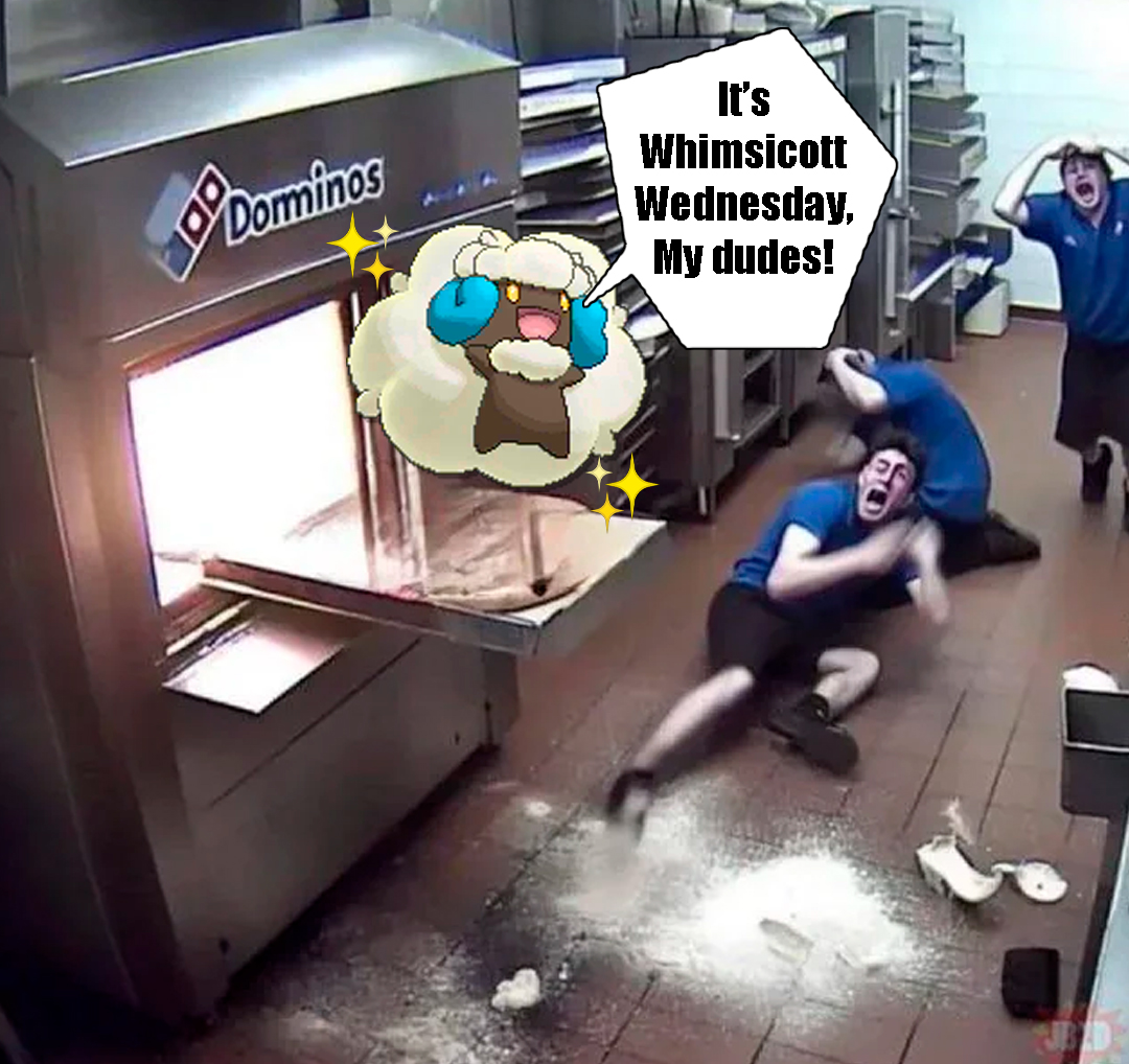 Shiny Whimsicott 🩵 tweet media