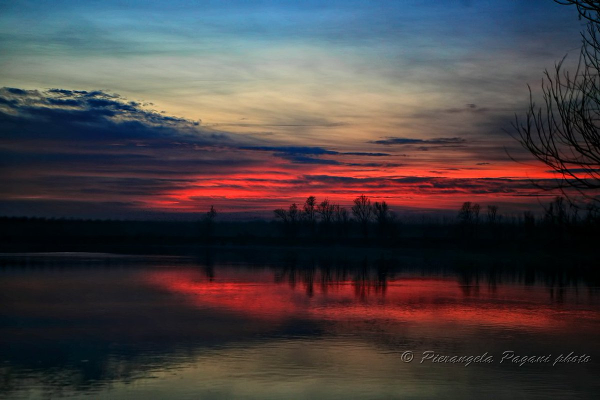 @ferrarisergio4 tweet media