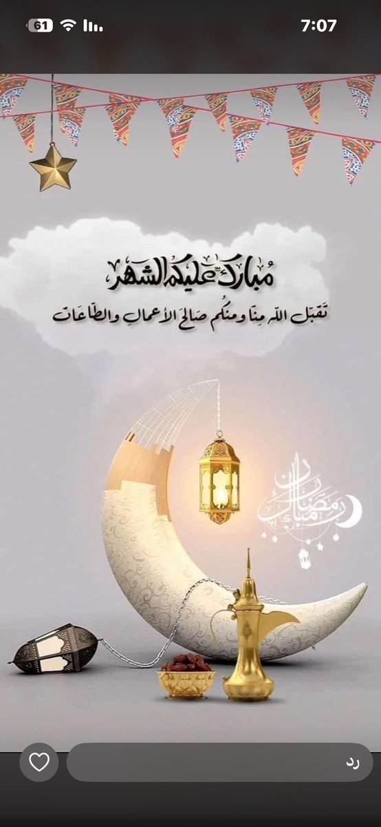 أبو عمر tweet media
