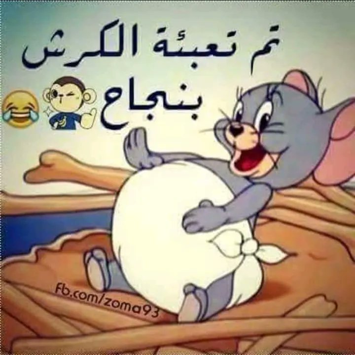 Mohammed tweet media
