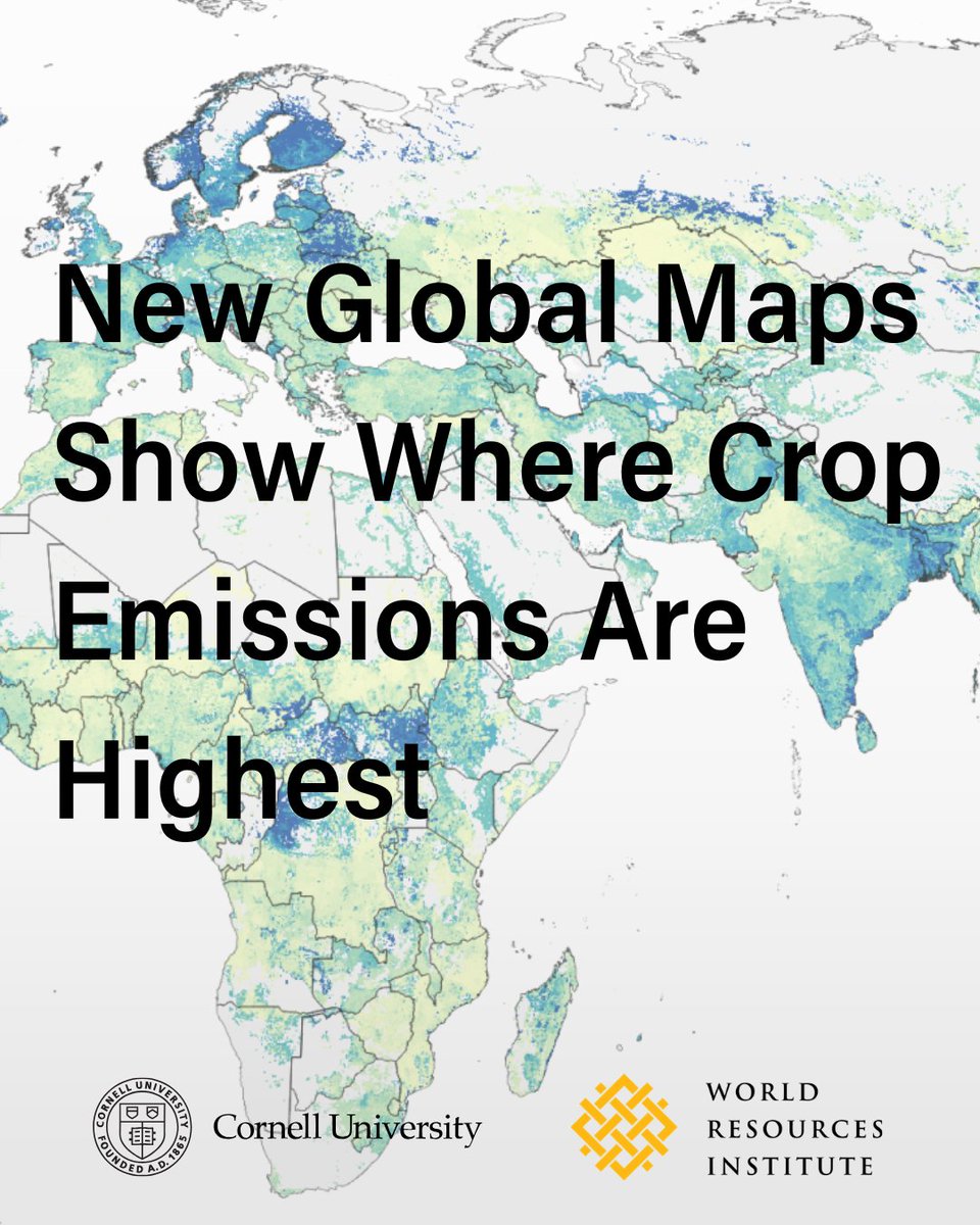 Land & Carbon Lab tweet media