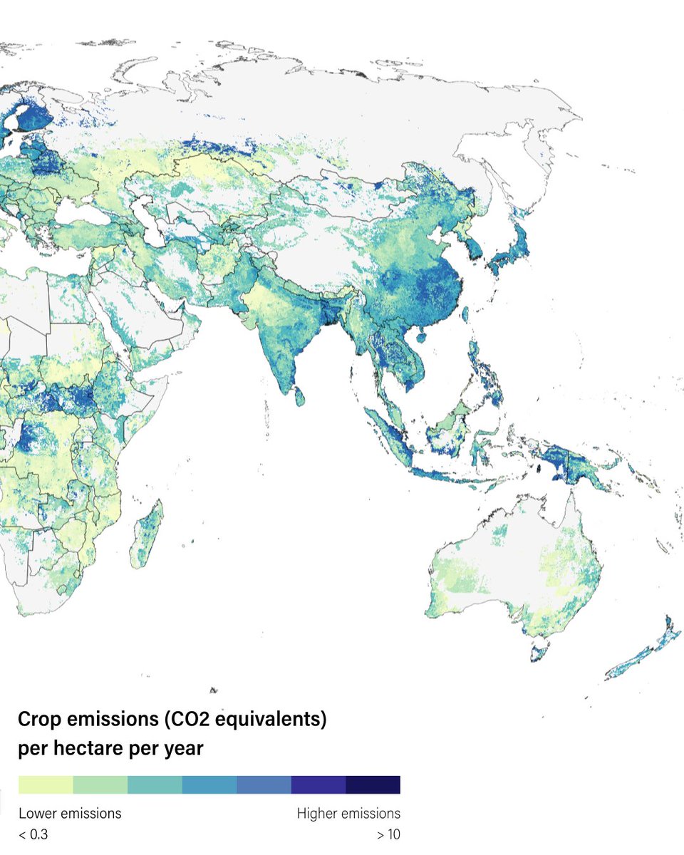 Land & Carbon Lab tweet media