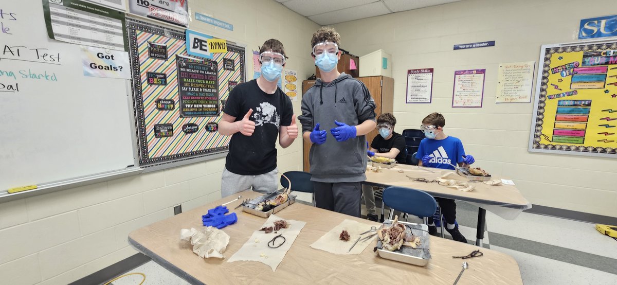 MPS_Kiewit's tweet photo. 8th HAL investigating organs & functions of major systems by dissecting rats. Science is amazing! #Proud2bMPS @MPS_HAL https://t.co/Si8MJieIzO
