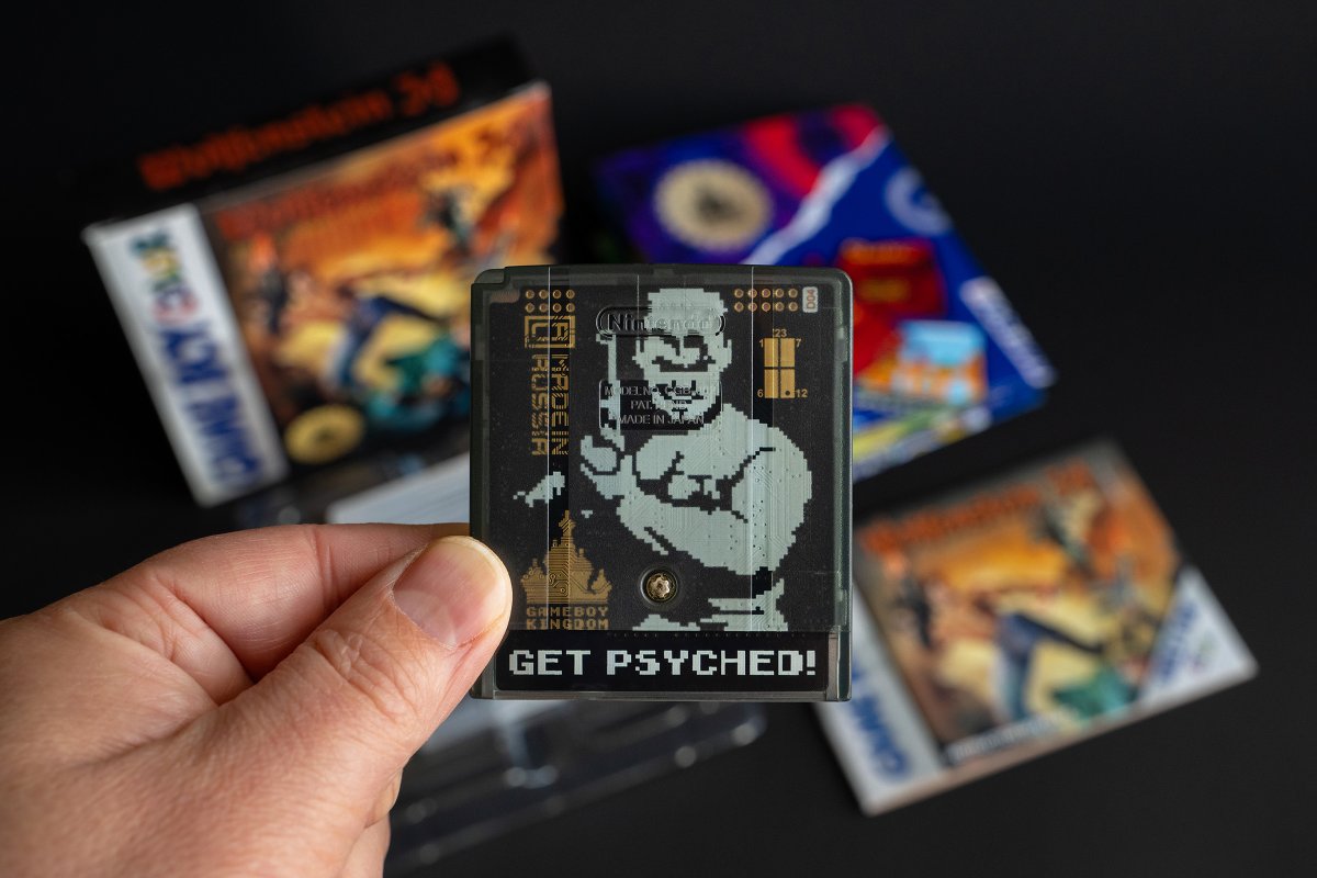 Game Boy Kingdom tweet media