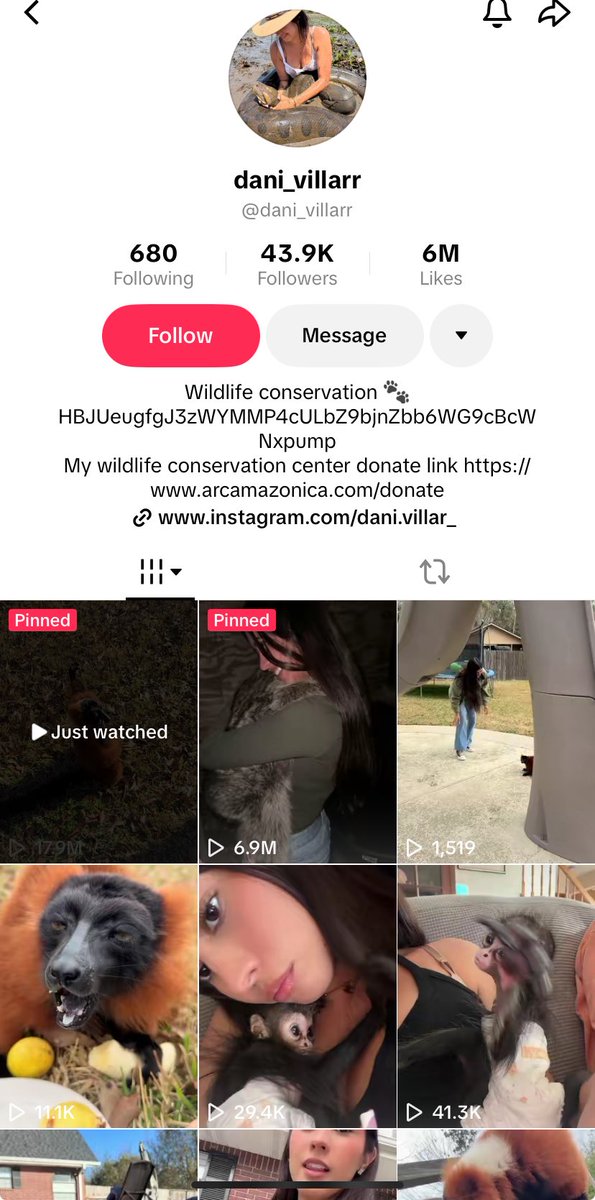 YOU DO REALISE THE CA IS IN THE OWNERS BIO ON TIKTOK

  $BLOODNUT , $PNUT , $MOODENG 
$UFD ALL LAUNCHED IN A BEAR MARKET

HBJUeugfgJ3zWYMMP4cULbZ9bjnZbb6WG9cBcWNxpump

OMG SO BULLISH REMEMBER WHAT HAPPENED? 

你确实知道CA在抖音上的所有者简历中

$BLOODNUT，$PNUT，$MOODENG