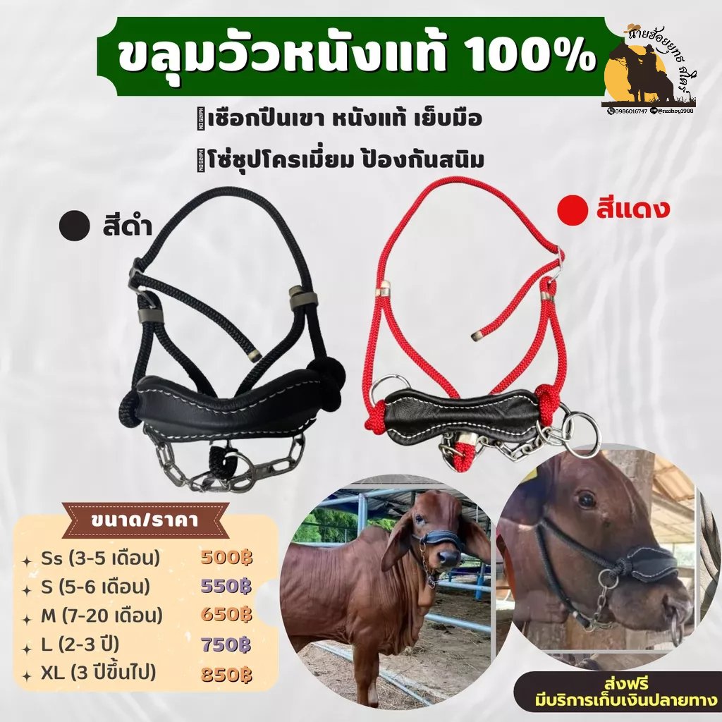 กรีน  tweet media