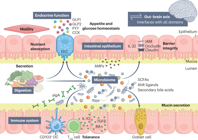 Nature Reviews Gastroenterology & Hepatology tweet media