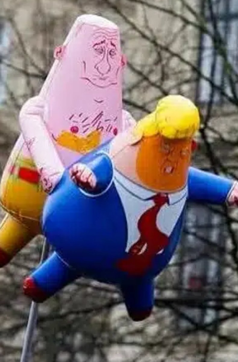 🇨🇦🇺🇦Ceeber🇺🇦🇬🇱 tweet media