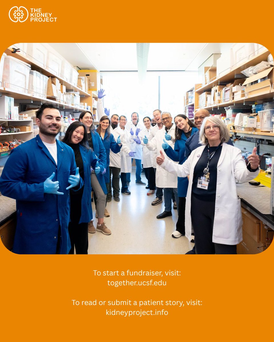 The Kidney Project tweet media