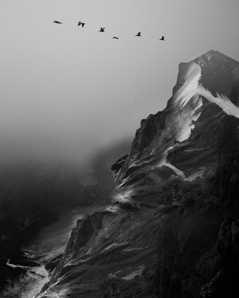 Bit Errror tweet media