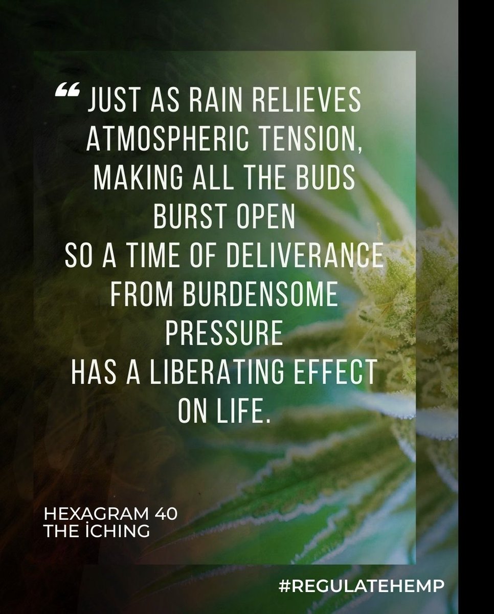 Stigma Hemp tweet media
