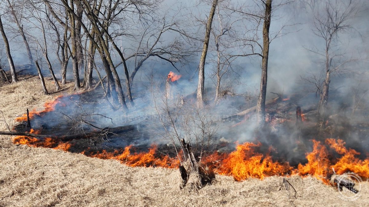 ChicagoMWeather's tweet photo. 🔥🚨 Active Brush Fire Near Runnells, Iowa 🚨🔥

A decent-sized wildfire is burning near Runnells, IA, on the far southeast side of Des Moines. The fire has already consumed a significant amount of dry brush and trees and continues pushing east, occasionally shifting slightly southeast. 🌬️🔥

It’s moving in the general direction of the far south side of town, though it may stay just outside populated areas. With winds expected to strengthen through the afternoon and Red Flag Warnings still in effect, this fire could continue to burn and spread throughout the day. 🚩💨

Aggressive flames are rapidly chewing through dead trees, dry brush, and fallen branches — extremely dangerous conditions.

⚠️ Avoid the area
⚠️ Do not burn outdoors
⚠️ Report smoke immediately

Contact Curtislergner@gmail.com for licensing. 

#RunnellsIA #DesMoines #IowaWildfire #RedFlagWarning #BrushFire #FireWeather #BreakingNews #StayAlert 🔥🚒
