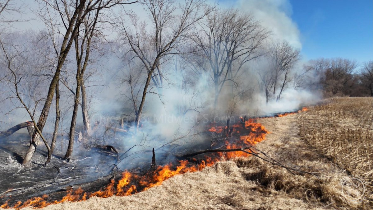ChicagoMWeather's tweet photo. 🔥🚨 Active Brush Fire Near Runnells, Iowa 🚨🔥

A decent-sized wildfire is burning near Runnells, IA, on the far southeast side of Des Moines. The fire has already consumed a significant amount of dry brush and trees and continues pushing east, occasionally shifting slightly southeast. 🌬️🔥

It’s moving in the general direction of the far south side of town, though it may stay just outside populated areas. With winds expected to strengthen through the afternoon and Red Flag Warnings still in effect, this fire could continue to burn and spread throughout the day. 🚩💨

Aggressive flames are rapidly chewing through dead trees, dry brush, and fallen branches — extremely dangerous conditions.

⚠️ Avoid the area
⚠️ Do not burn outdoors
⚠️ Report smoke immediately

Contact Curtislergner@gmail.com for licensing. 

#RunnellsIA #DesMoines #IowaWildfire #RedFlagWarning #BrushFire #FireWeather #BreakingNews #StayAlert 🔥🚒