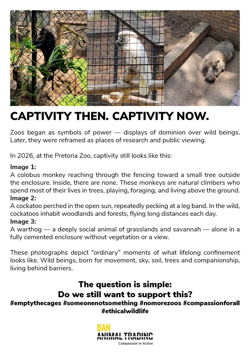 Ban Animal Trading tweet media