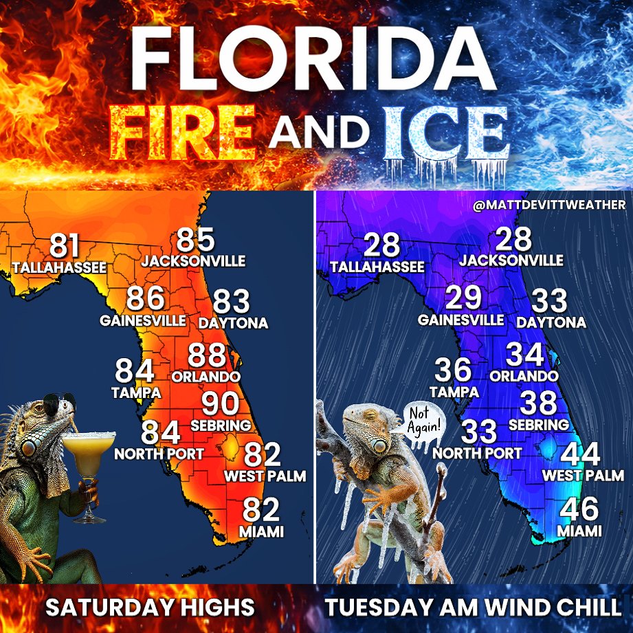 FLORIDA WEATHER WHIPLASH! 🥵🥶
Get ready for a big drop in temperatures as winter returns next week.  We'll go from 80s (even some near 90°) on Saturday to wind chills in the  20s and 30s by Tuesday morning! #Florida