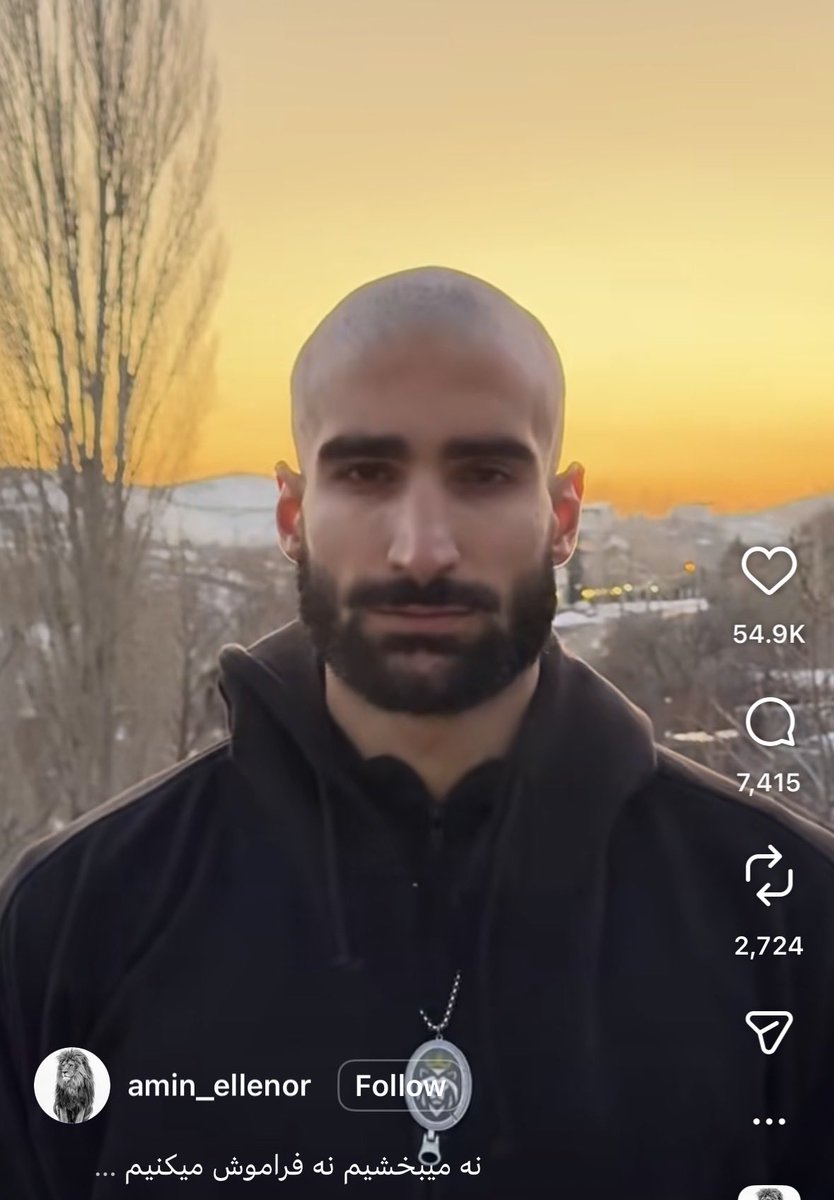 خبر خوب اینکه بچه شیر آزاد شد ✌🏼