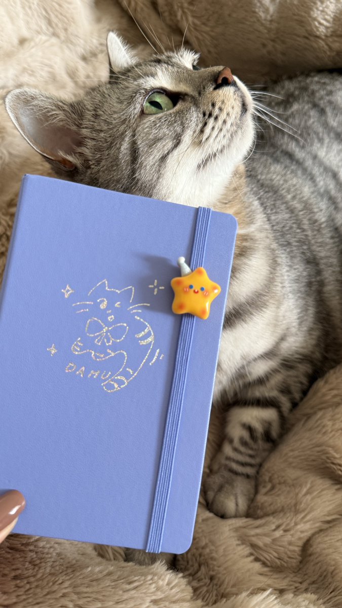 remiantang's tweet photo. 大虎和大虎的MOLESKINE @moleskine 
#moleskine https://t.co/mdkA5xw20w