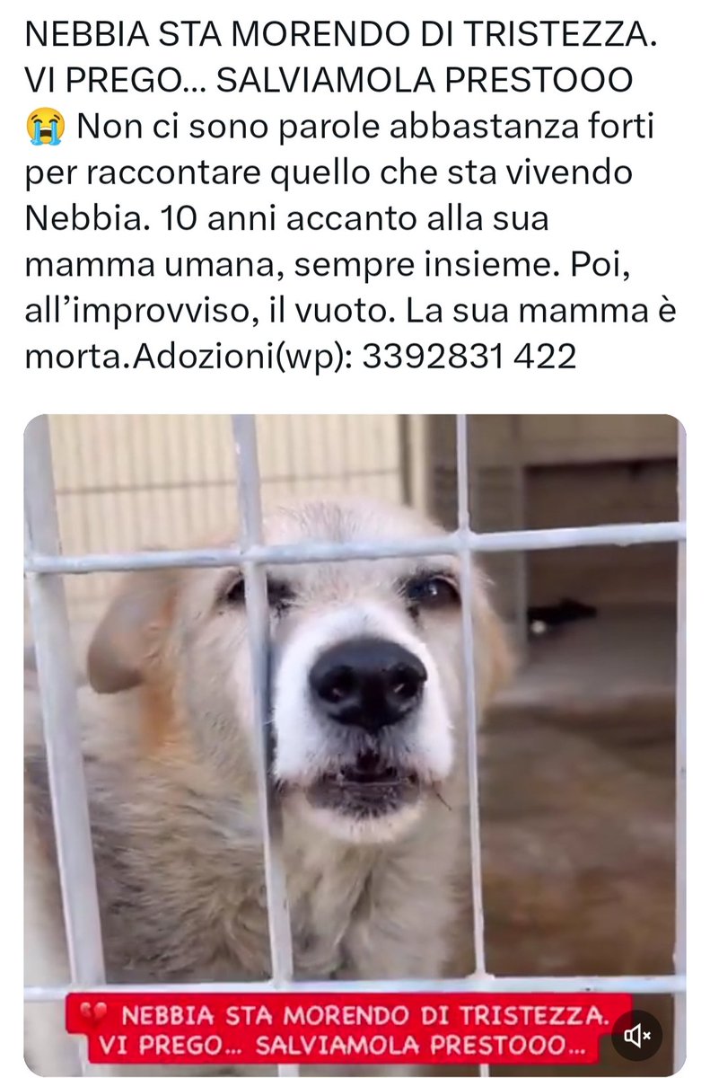 giuseppe esposito (@geisup) on Twitter photo 