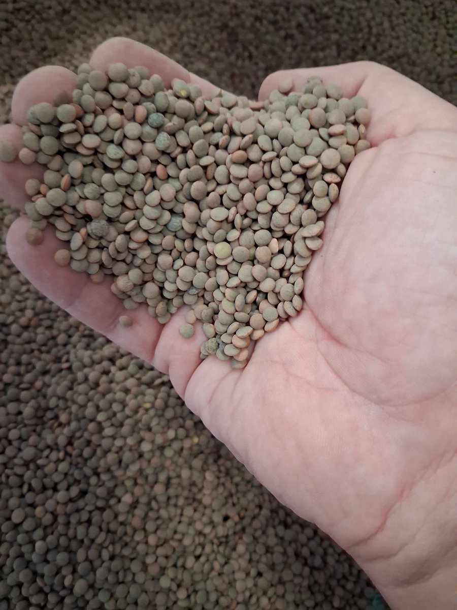 Antonio Torres tweet media