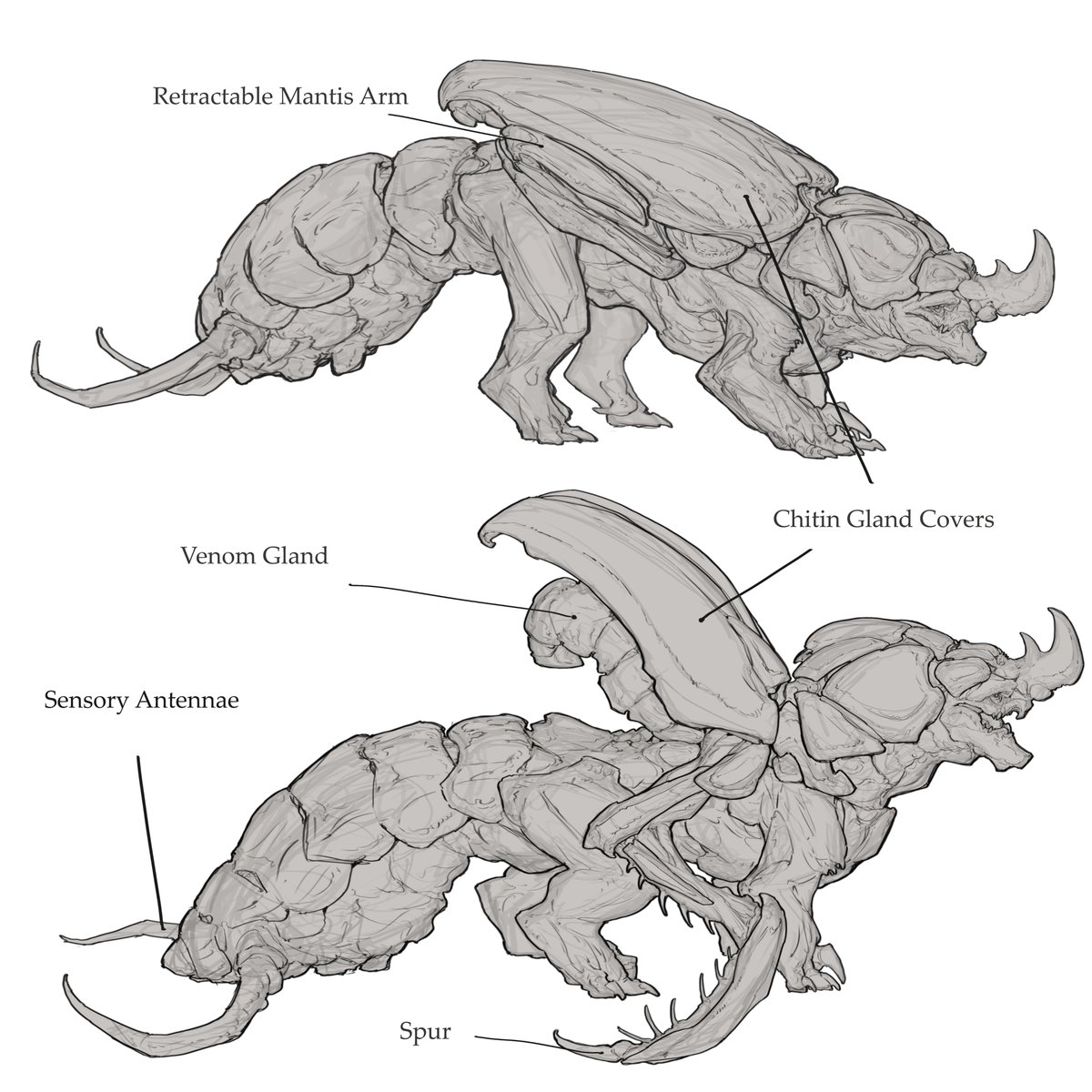 Corey Rivera (@aliteralcar) on Twitter photo 