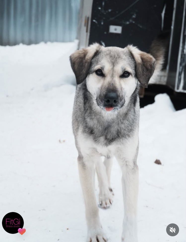 Bluepain tweet media