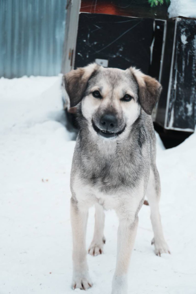 Bluepain tweet media