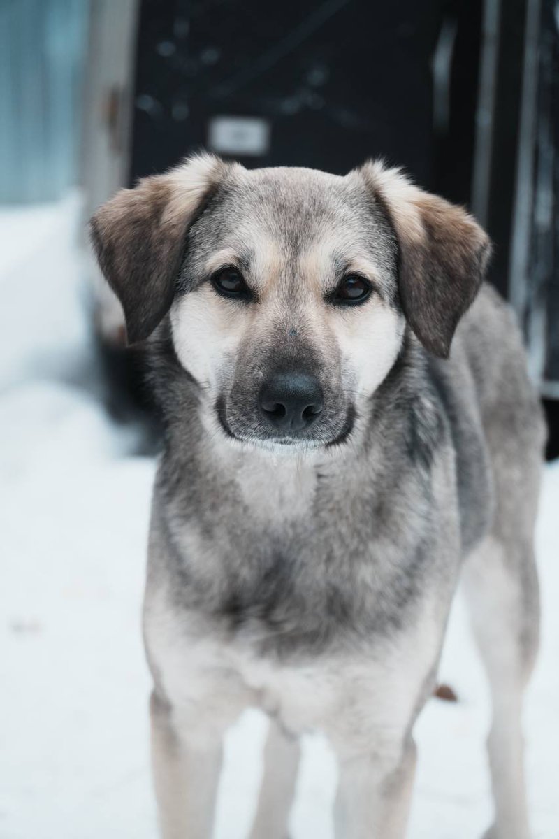 Bluepain tweet media