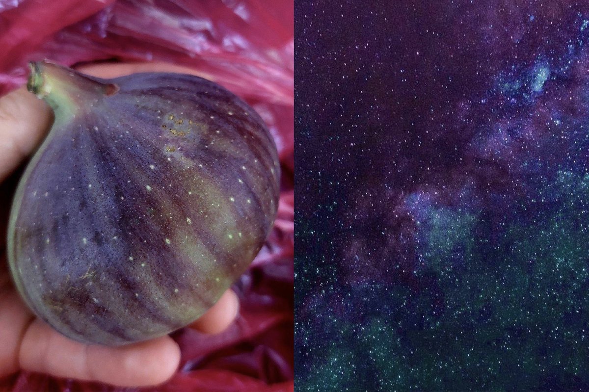 İnciri yaratan da
gökyüzünü boyayan da 
sadece الله’tır…