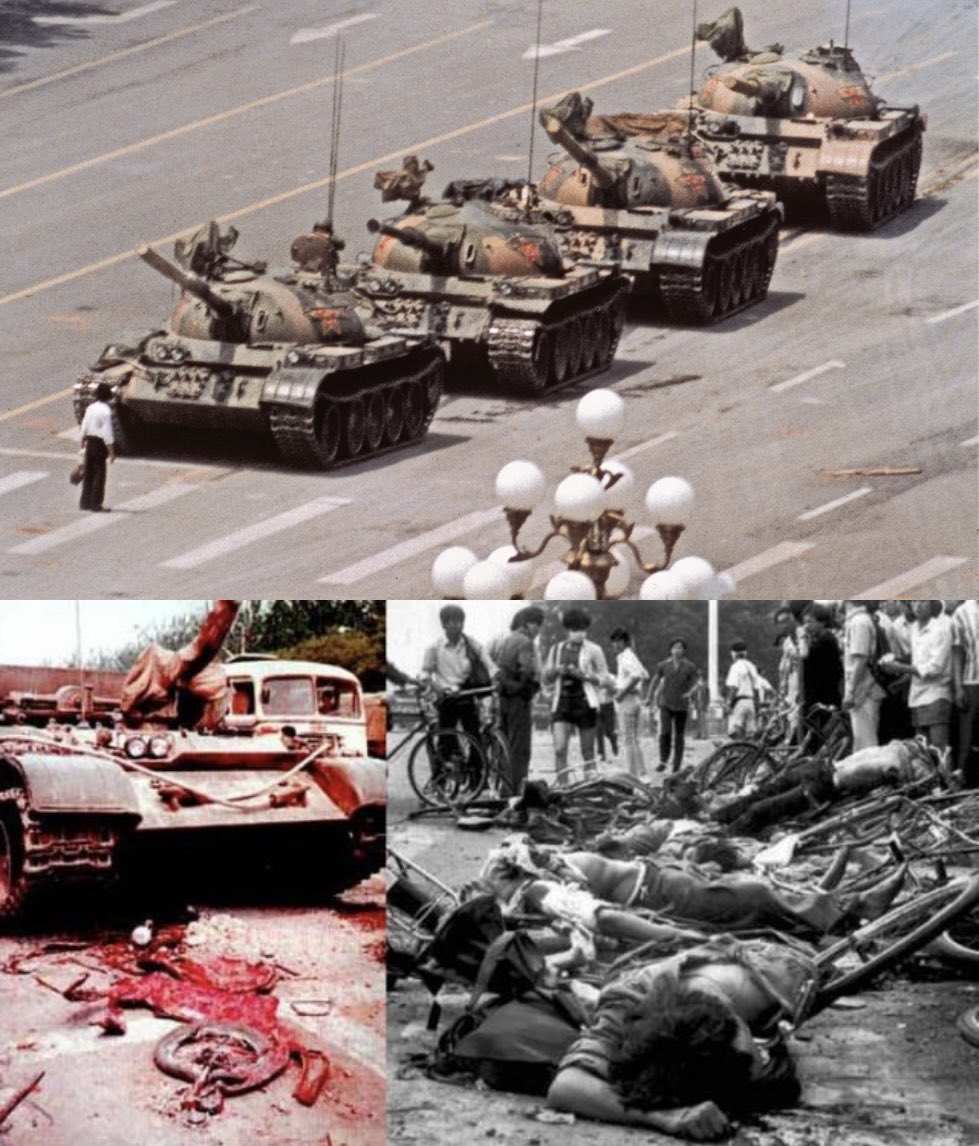 Xi Van Fleet tweet media