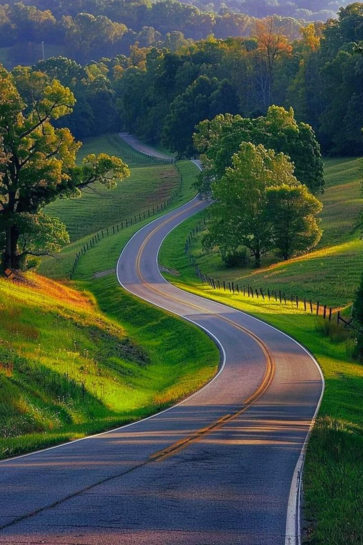 Amazing views 😍 (@naturaleye78321) on Twitter photo 