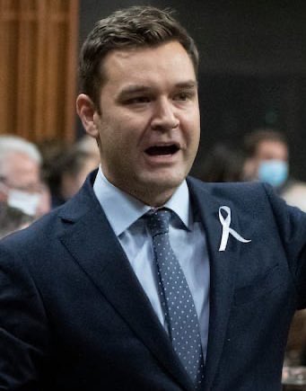 wealthmoose tweet media