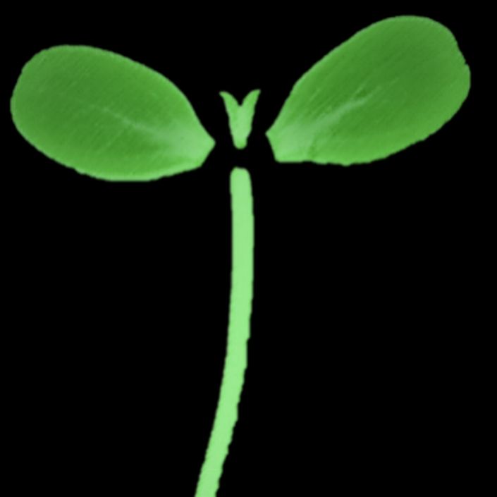 Recent events have made me want to make me more self-sufficient and price shock proof. Here's a fun way to #FeedTheVoiceover buff.ly/CR4qbAW #writersliftingwriters #authors #audiobook #audiobooks #ACX #Audible #narration #animation #elearning #videoproduction #journal