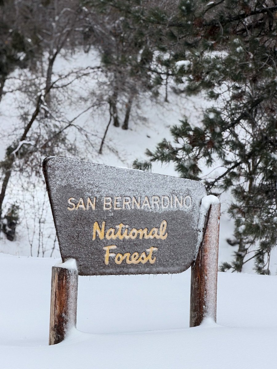 FirePhotoGirl's tweet image. Much needed snow! ❄️ 

Dog approved 🐾 

#cawx #winterstorm