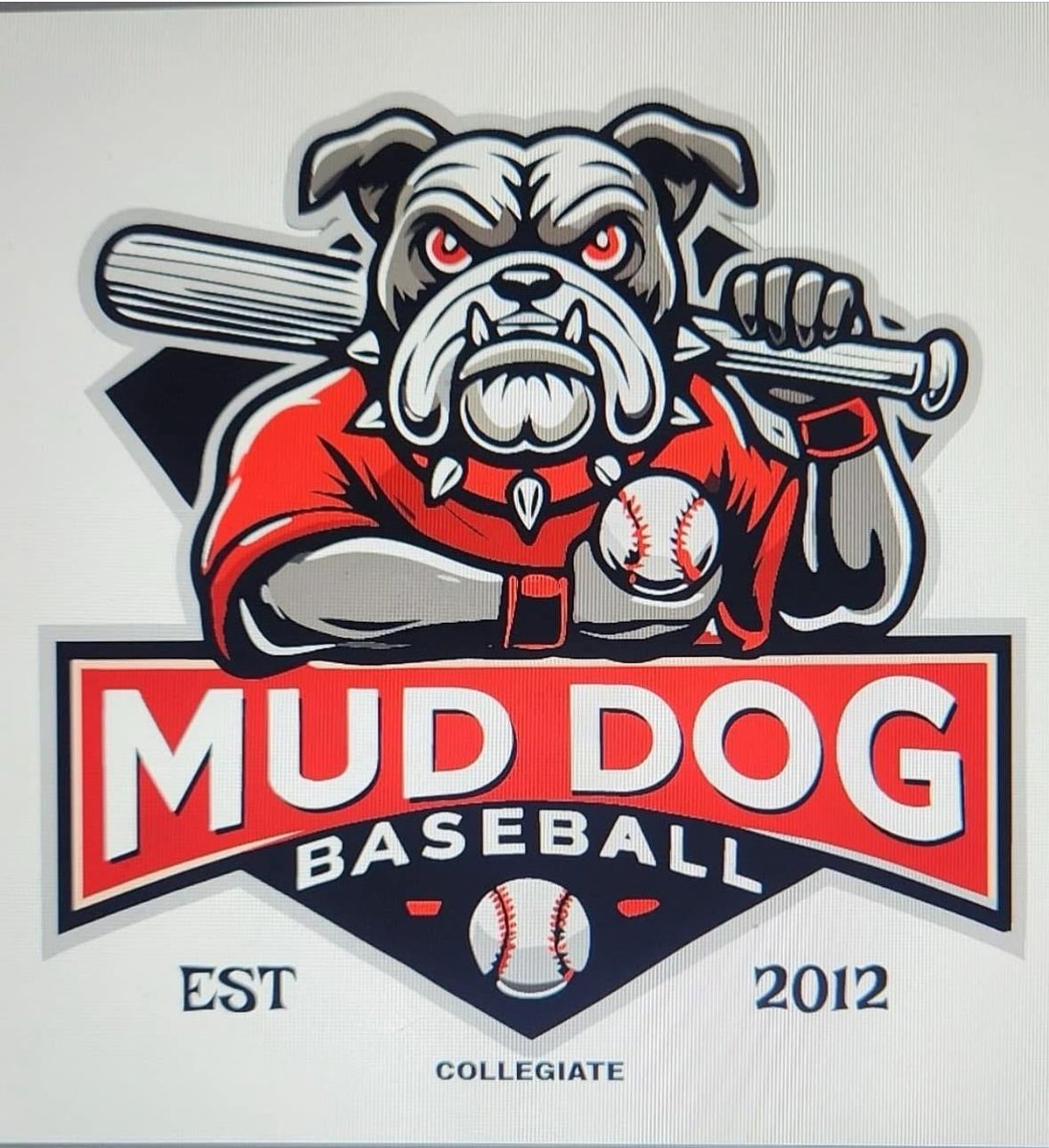 muddogbaseball tweet media